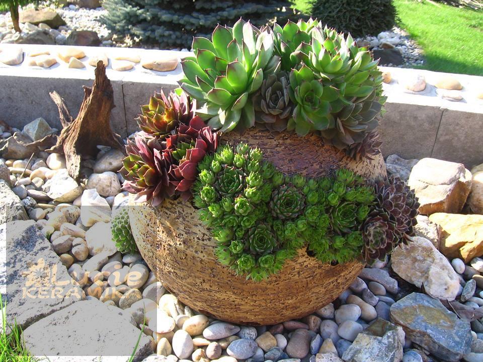 Koule na sukulenty 25 cm 