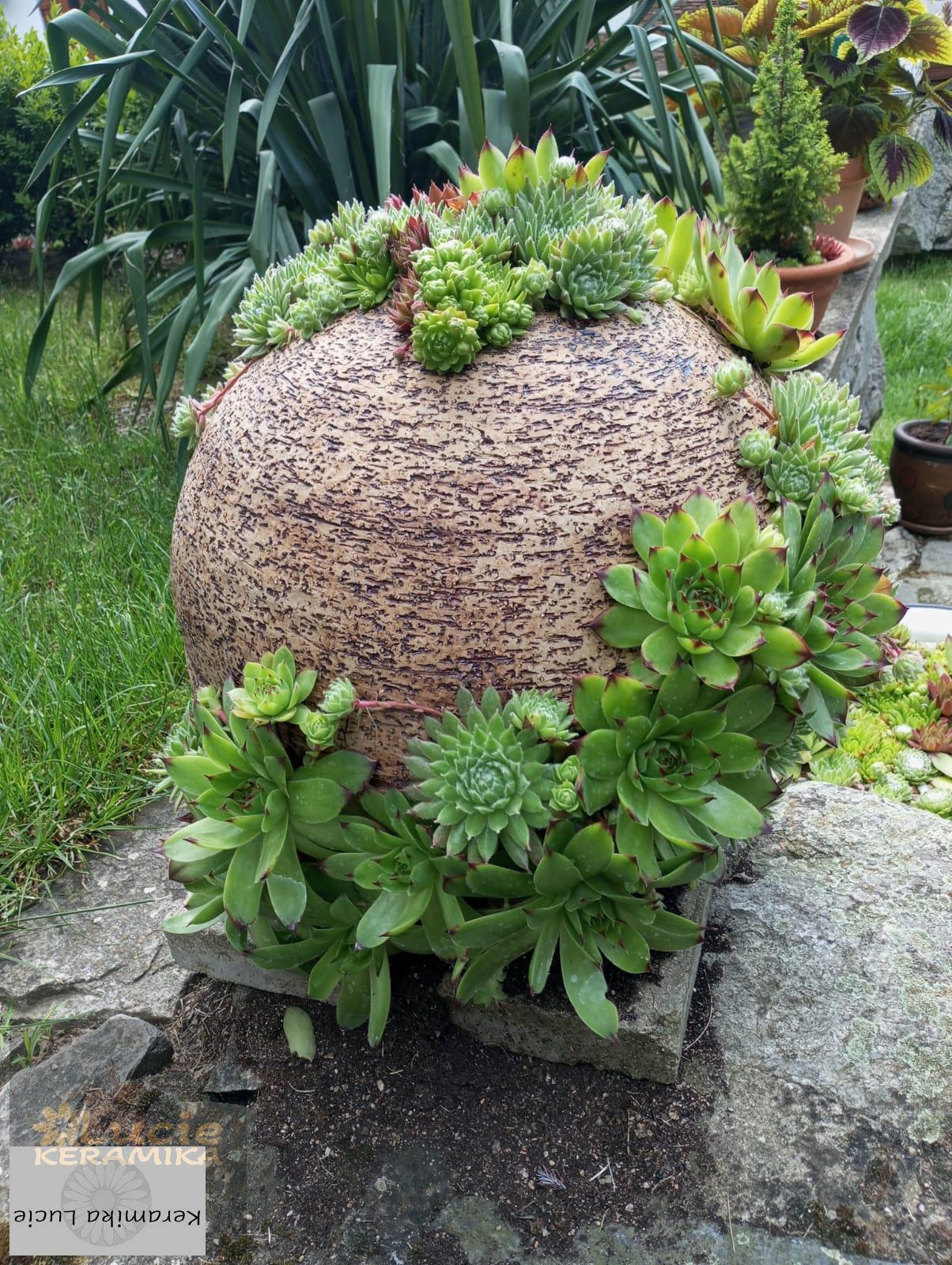 Koule na sukulenty 20 cm 
