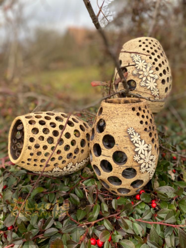 Lucerna 20 cm rozkvetlá 