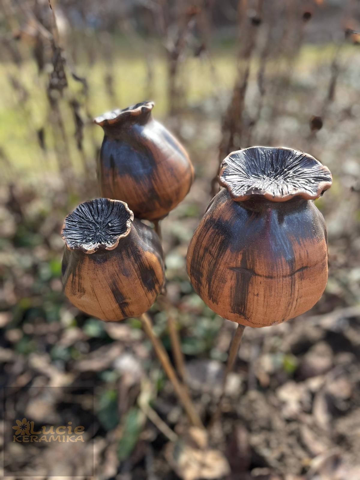 Makovice červeno-hnědá 10 cm