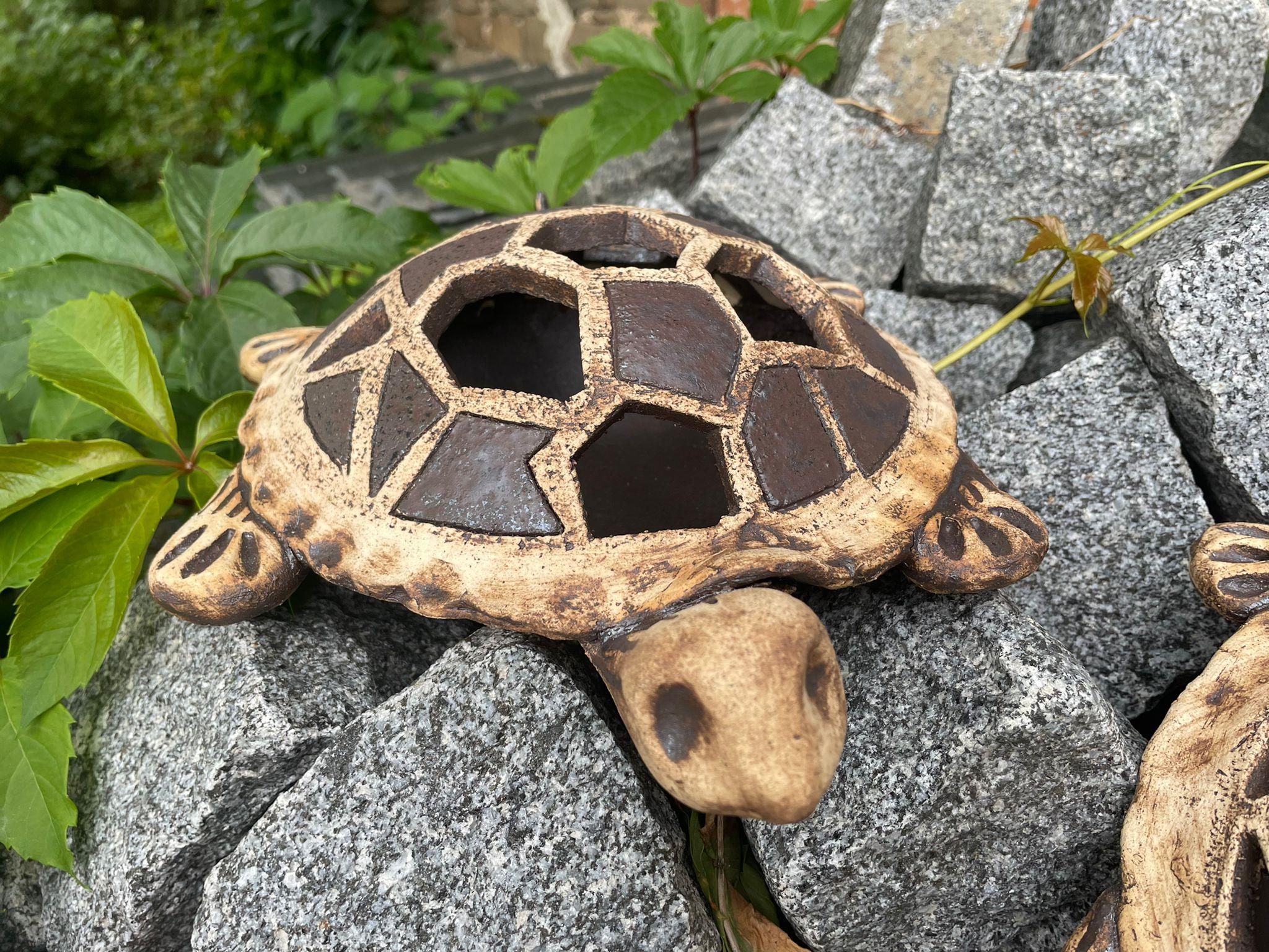 Želva na netřesky 20 cm 