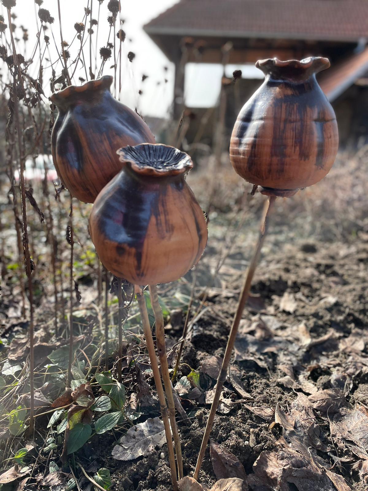 Makovice červeno-hnědá 12 cm