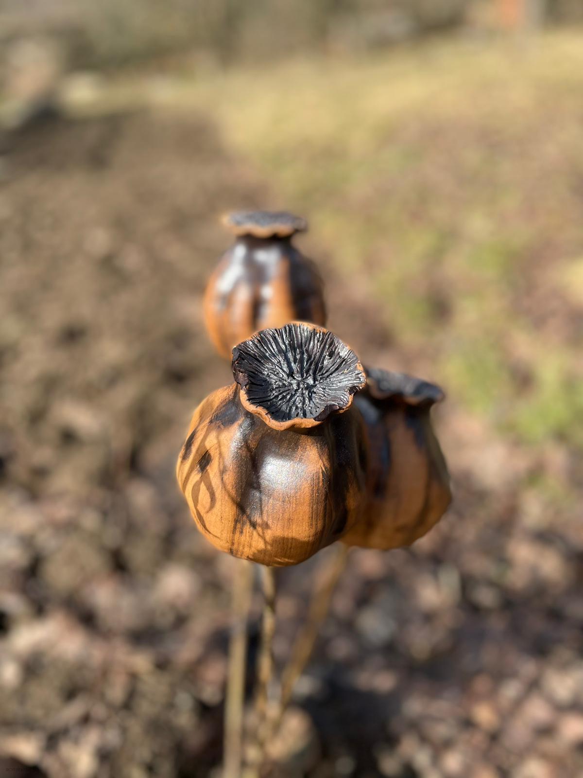 Makovice červeno-hnědá 12 cm