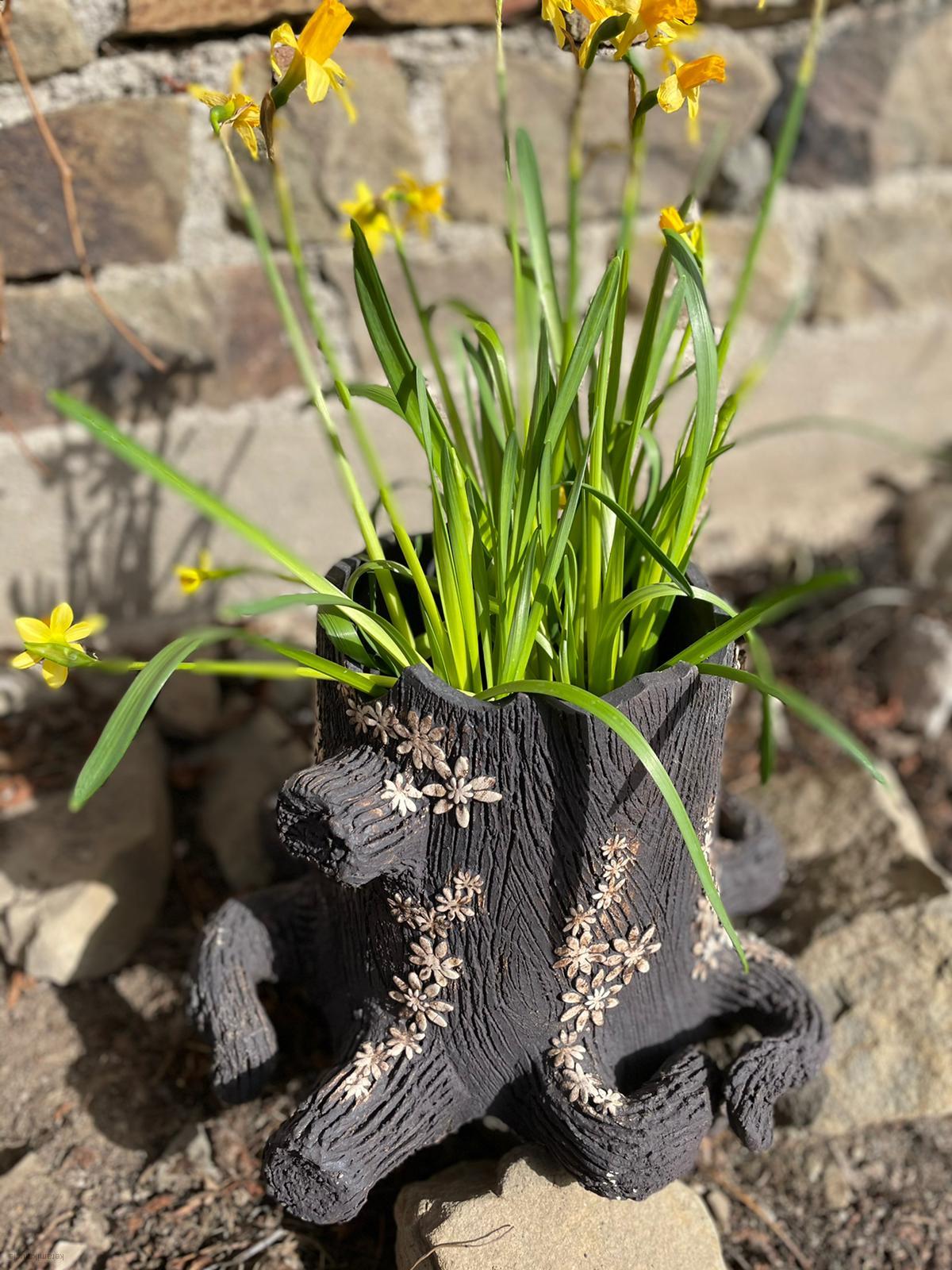 Pařez květináč rozkvetlý 20 cm