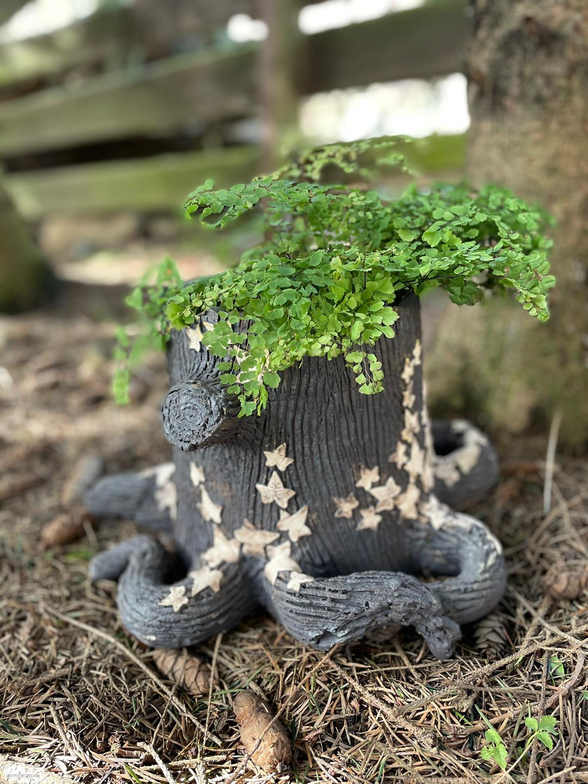 Pařez květináč s břečťanem 20 cm