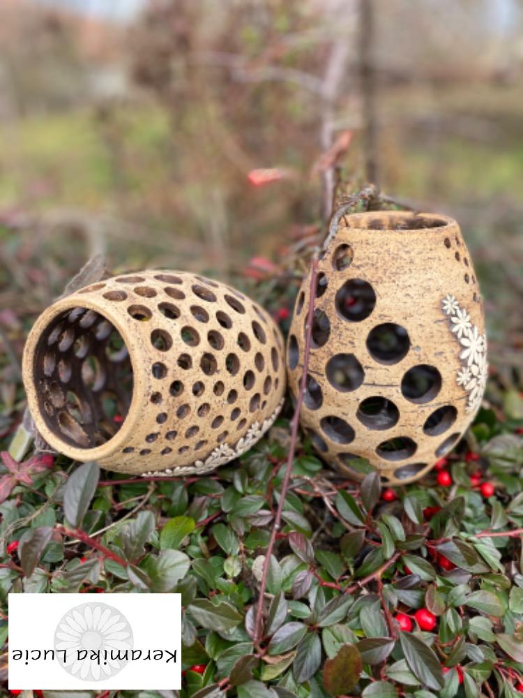 Lucerna 20 cm rozkvetlá 