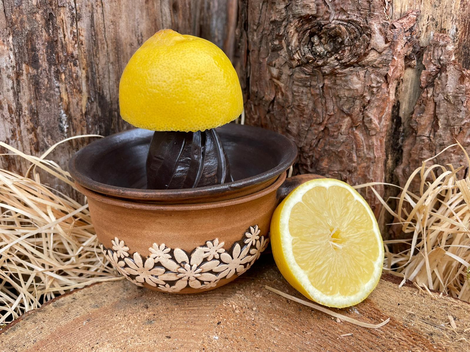 Lis na citrony